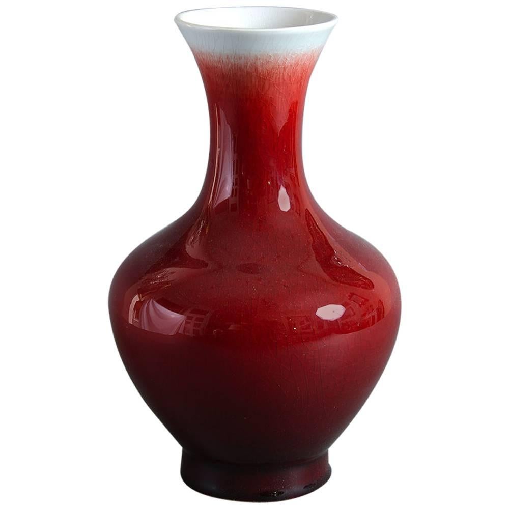 Late 19th Century Qing Dynasty Sang de Boeuf Vase
