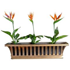 Wall Pair of Flower Pots by Jansen, circa 1940
