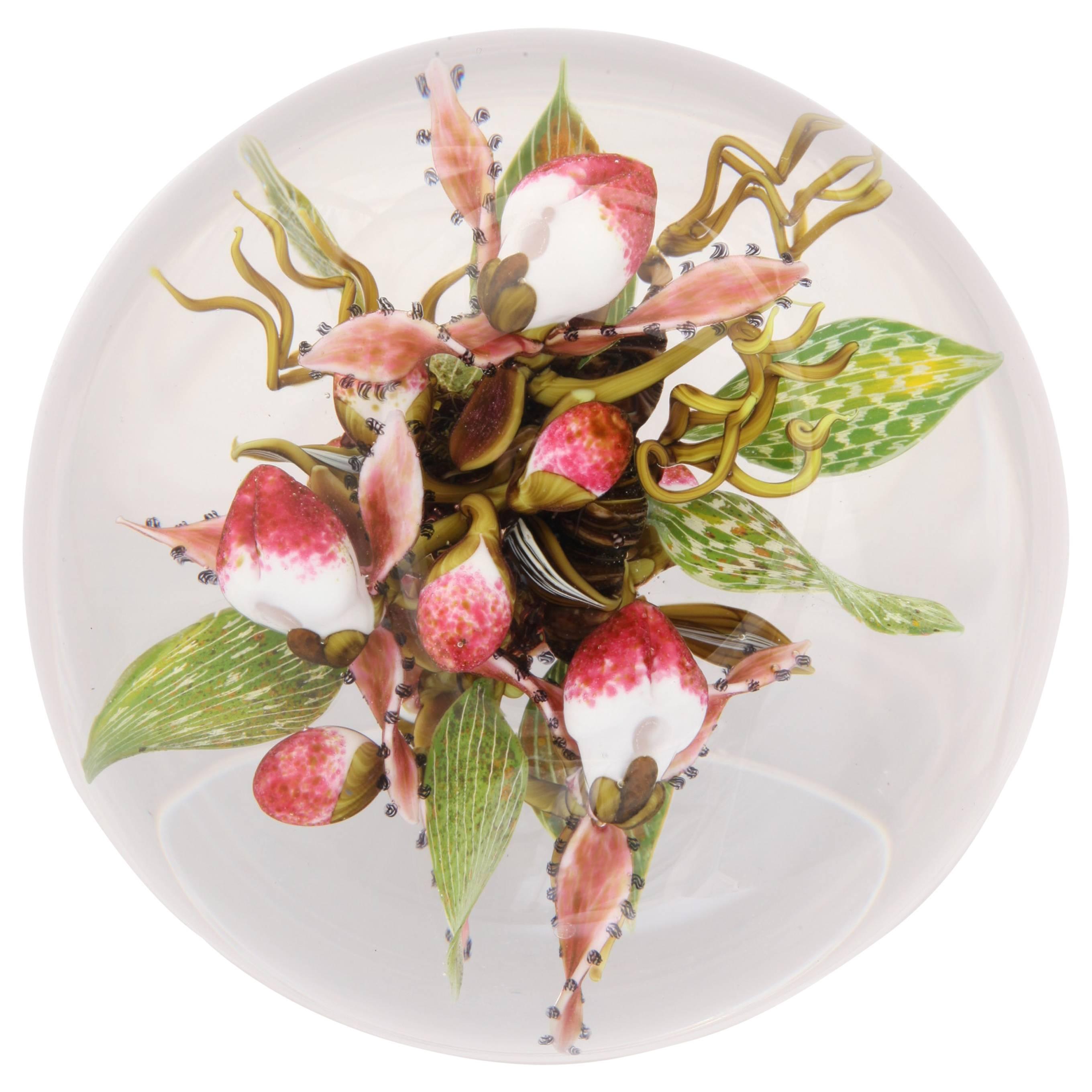 Beautiful David Graeber Compound Lady Slipper Paperweight For Sale