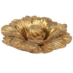 Antique An Early 17th Century Carved and Gilt Foliate Form Ceiling Boss