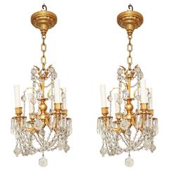 Pair of Small Caldwell Louis XVI Chandeliers