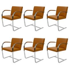 Six Cognac Brno Leather Chairs by Ludwig Mies van der Rohe, Knoll