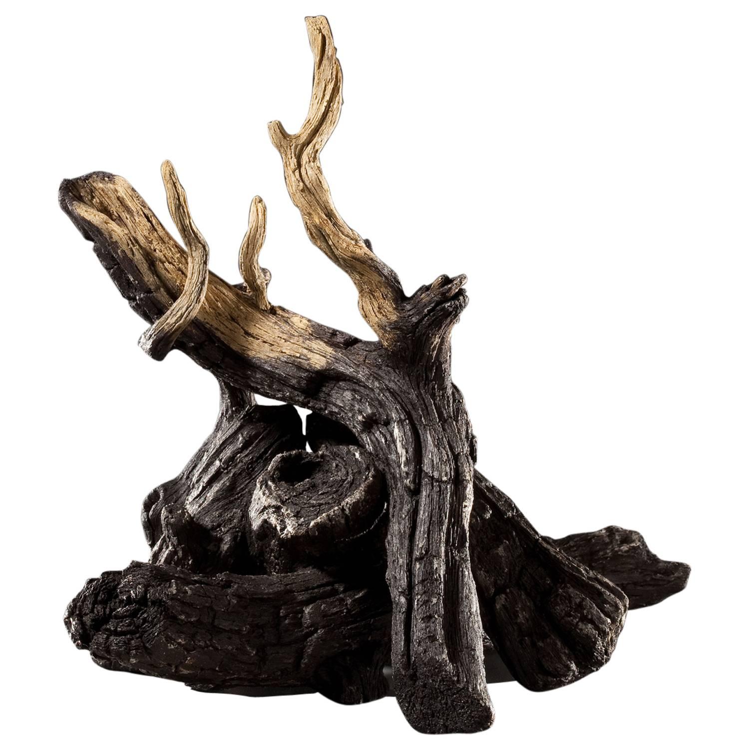 Contemporary Charred Log Pile Teapot by Eric Serritella For Sale