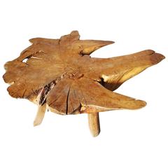 1950 Root Coffee Table