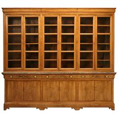 Antique French Bookcase