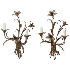 Pair of Wired Wall Sconces from France