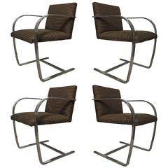 Four Mid-Century Brno Chairs by Miles Van Der Rohe