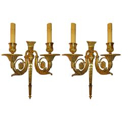 Pair 19th Century French Gilt Bronze Sconces