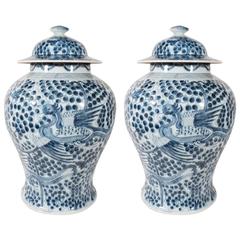 Pair of Large Blue and White Antique Chinese Porcelain Vases with Phoenix