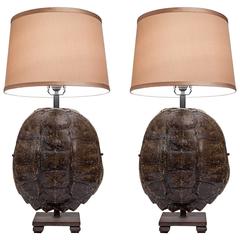 Pair of Turtle Shell and Iron Lamps