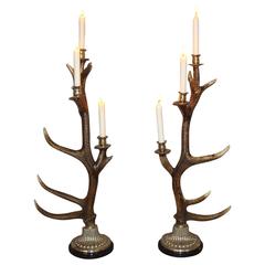 Unusual Large Pair of Antler and Silvered Metal Candlesticks