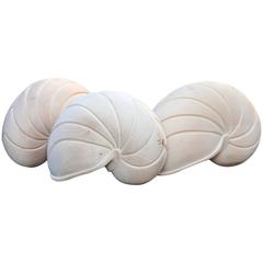 Fantastic Wooden Seashell Objects by Bini, Italy, 1970 2