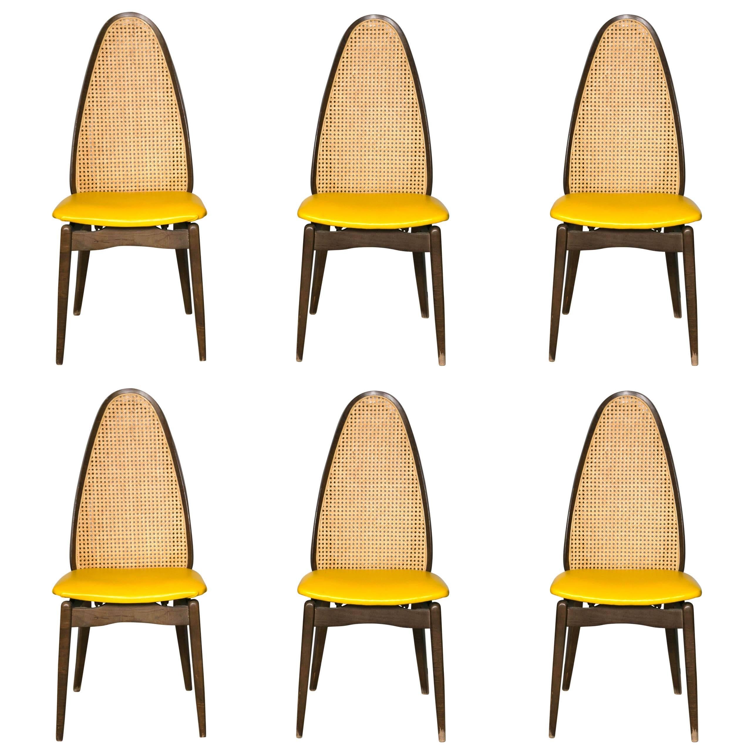 Set of Six Stakmore Cane Back Folding Chairs