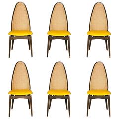 Set of Six Stakmore Cane Back Folding Chairs