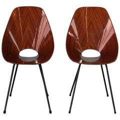 Pair of Rosewood Medea Chairs, Vittorio Nobili