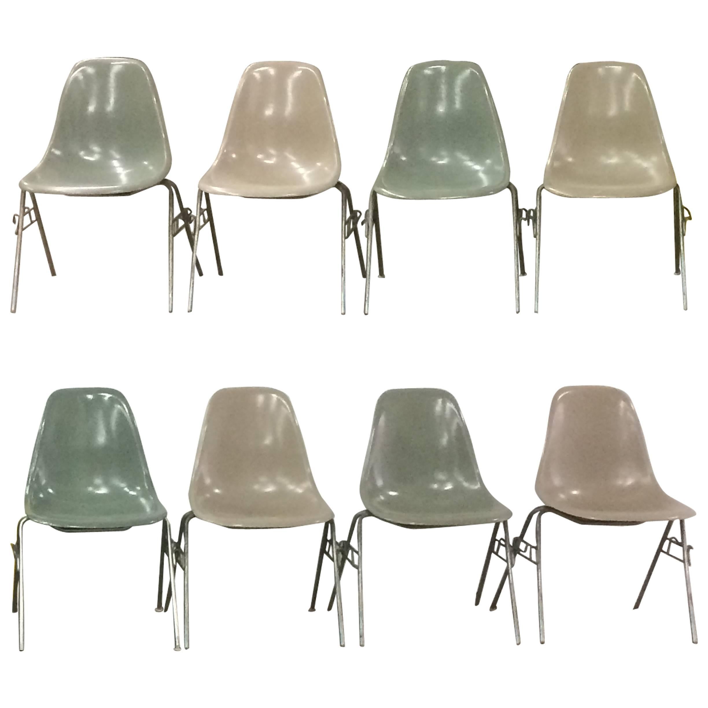 Eight Greige and Seafoam Herman Miller Eames DSS Chairs