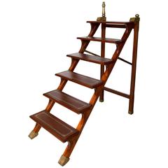 Library Folding Steps Ladder