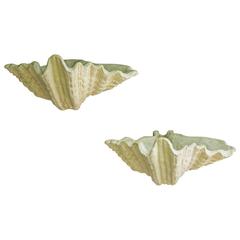 plaster wall sconces
