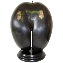 Antique Coco de Mer Box