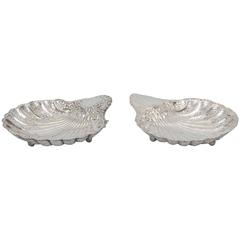 Pair of Silver Shells