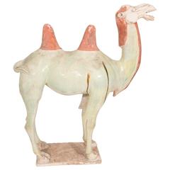 Tang Dynasty Glazed Pottery Statue of Standing Camel