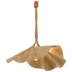 Very Rare Huge Ginkgo Leaf Brass Chandelier by Tommaso Barbi