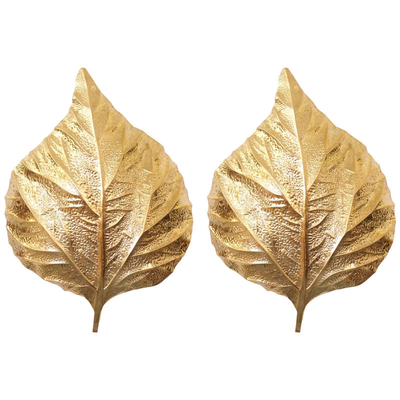 Pair of  Huge Rhaburb Leaf Brass Wall Lights or Sconces by Tommaso Barbi