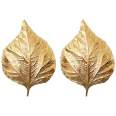 1 of 3 Huge Rhaburb Leaf Brass Wall Lights or Sconces by Tommaso Barbi 3