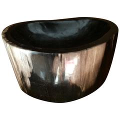 Petrified Wood Polished Carved Bowl