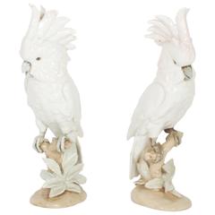 Pair of Porcelain Royal Dux Cockatoos 