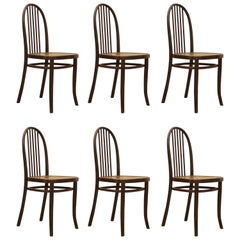 Antique Set of Six Thonet Chairs No. 644 Designed by Josef Hoffmann
