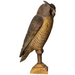 Great Horned Owl by Frank Finney