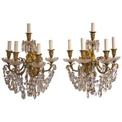 Pair of 19th Century French Sconces, Bras de Lumière