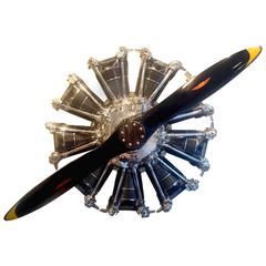 Engine and Propeller of DC4 Aircraft TWA 5