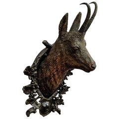 Great Wooden Carved Chamois Head, 1900