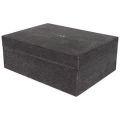 Ultra-Chic Jet Black Rectangular Form Shagreen Box