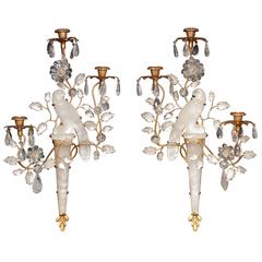 Pair of Bagues Style Parrot Sconces 7