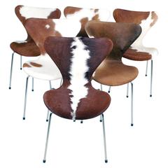 Arne Jacobsen Series 7 Chair with Cowhide, Model 3107 for Fritz Hansen