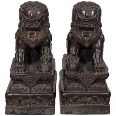 Vintage Pair of Chinese Foo Dogs on Pedestals in Bronze