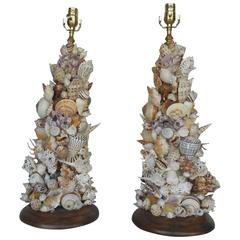 Pair of Shell Table Lamps