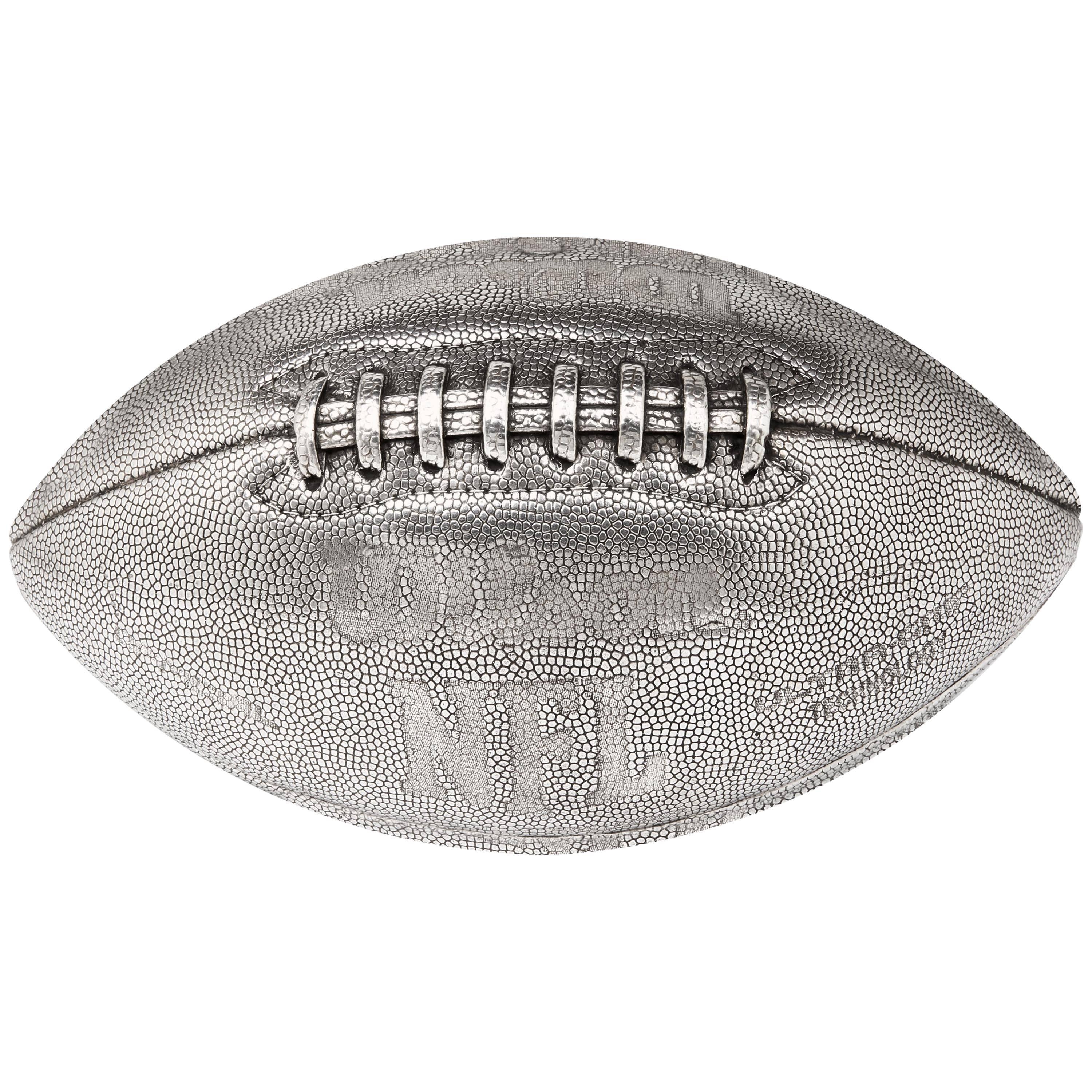 Touchdown! Wilson NFL Solid Silver Football