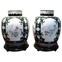 Elegant Pair of Antique Chinese Famille Verte 'Green' Porcelain Ginger Jars