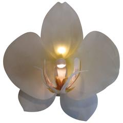 Juergen Reichert PHALAENOPSIS GIGANTEA Silicone Orchid, light sculpture 2015 