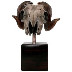 Decorative Ram's Skull Silver Plated 12