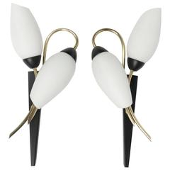 Pair of 1950s Sconces by Maison Lunel 6