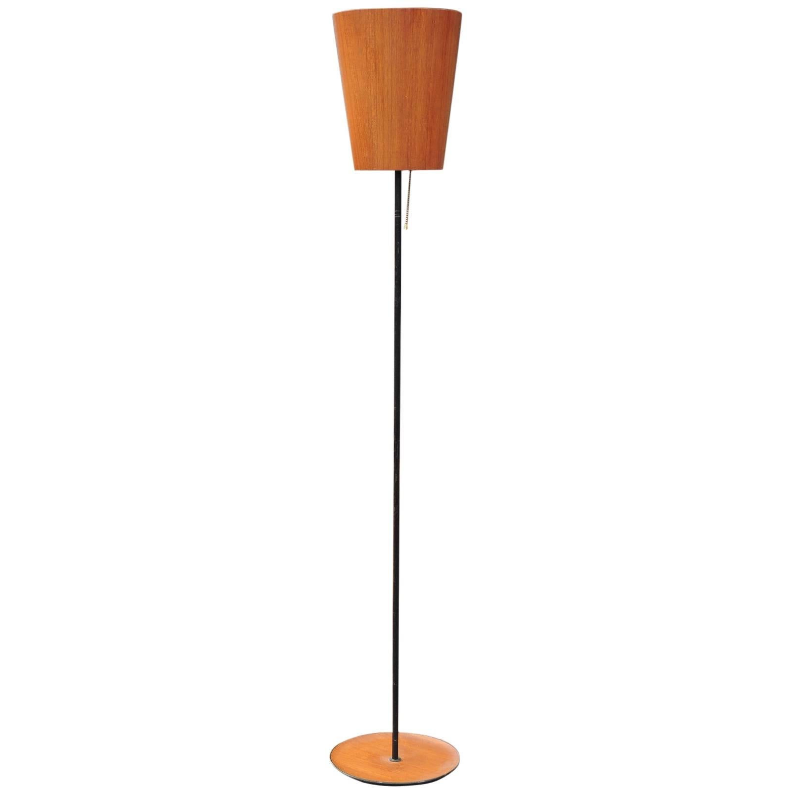  Scandinavian Teak & Iron Floor Lamp