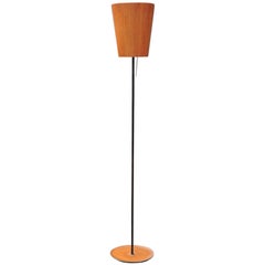 Scandinavian Teak & Iron Floor Lamp
