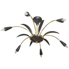 Stilnovo Style Spider Chandelier in Brass and Black Lacquer