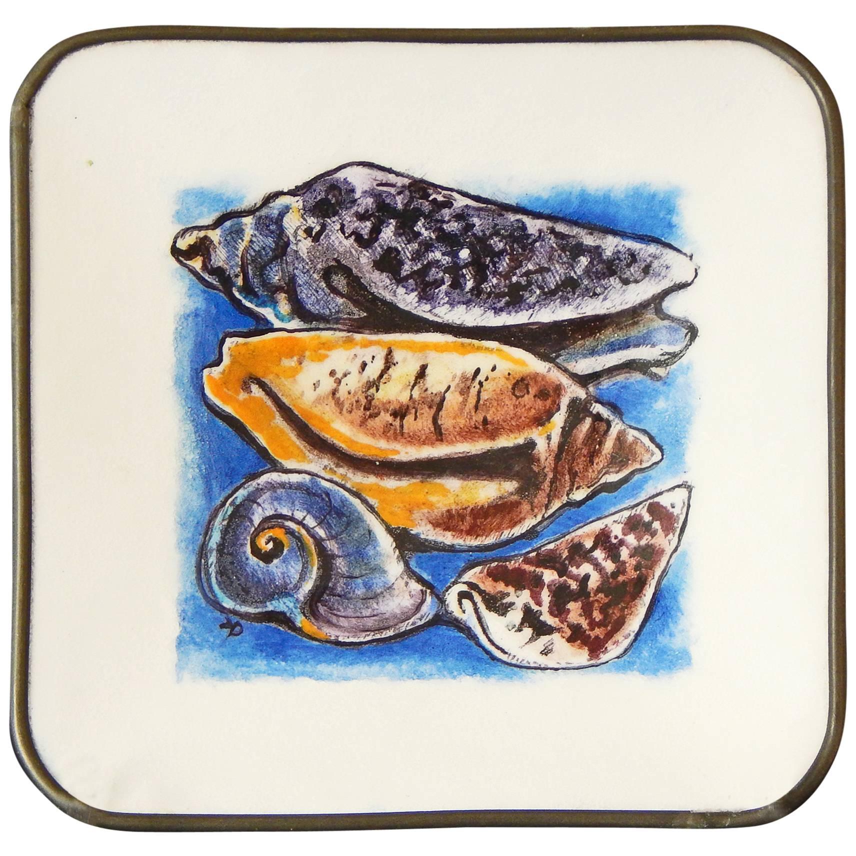"Cones and Olives, " Superb Footed Enamel Dish Depicting Sea Shells For Sale