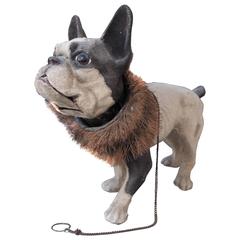 French Papier Mache "Growler" French Bulldog Pull Toy